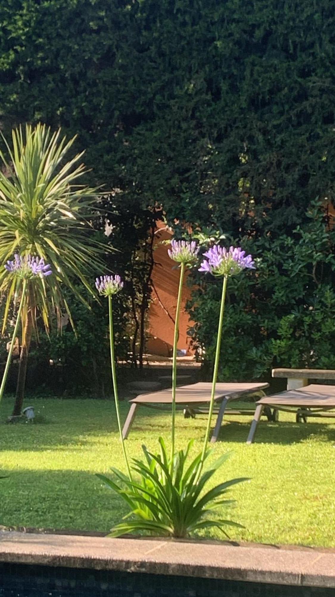 La Demeure Bed and Breakfast Eyguières Exteriör bild